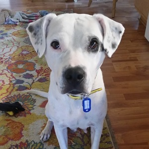 Fundraising Page: Hazel Tanoury